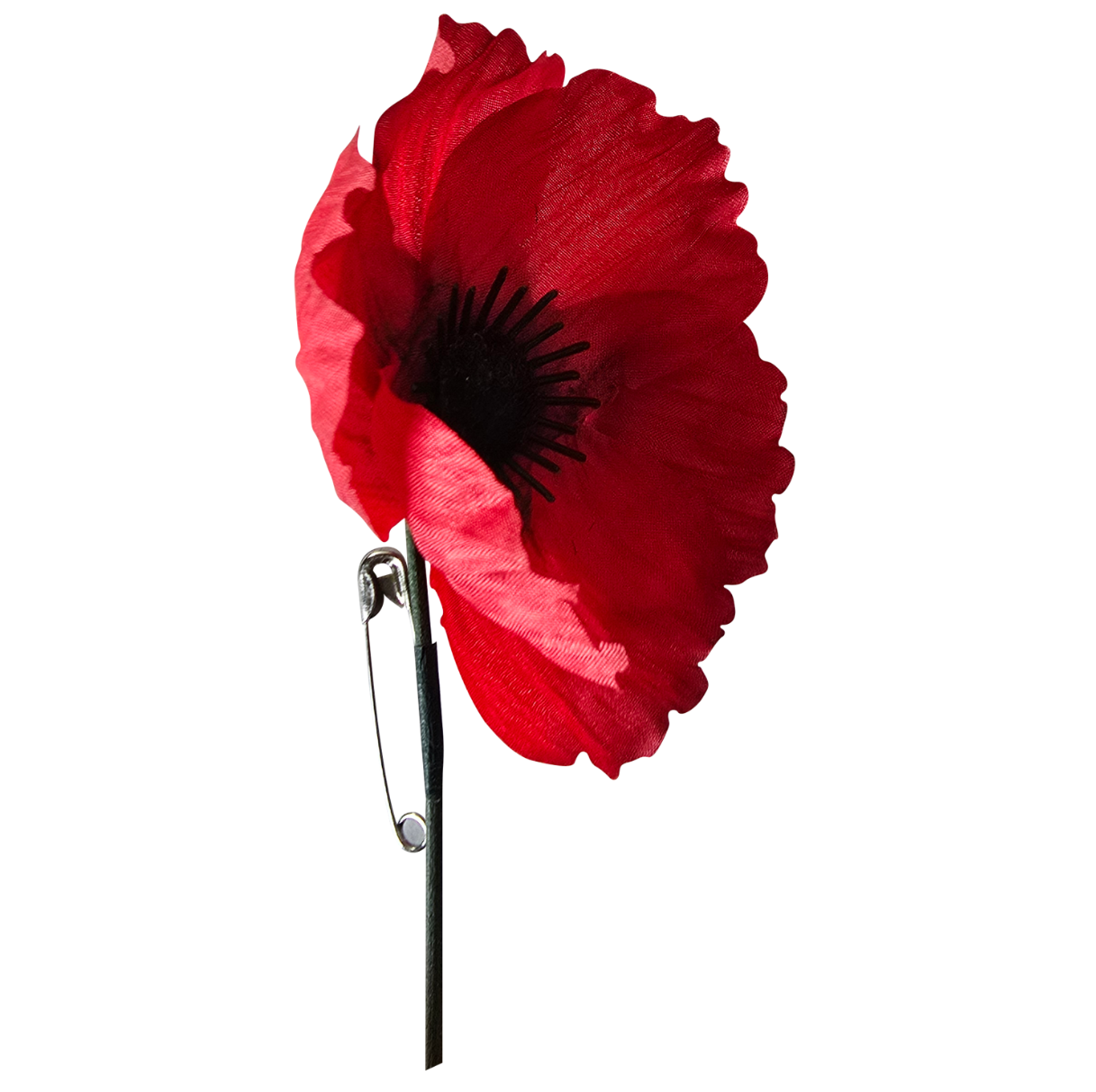 Remembrance Poppy Pins - ANZAC Poppy Pins – Party Paradise